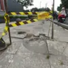 Tak Mungkin Bergerak Sendiri, Pengamat Minta Peran ASN dalam Penebangan Pohon Jalan Riau Diusut