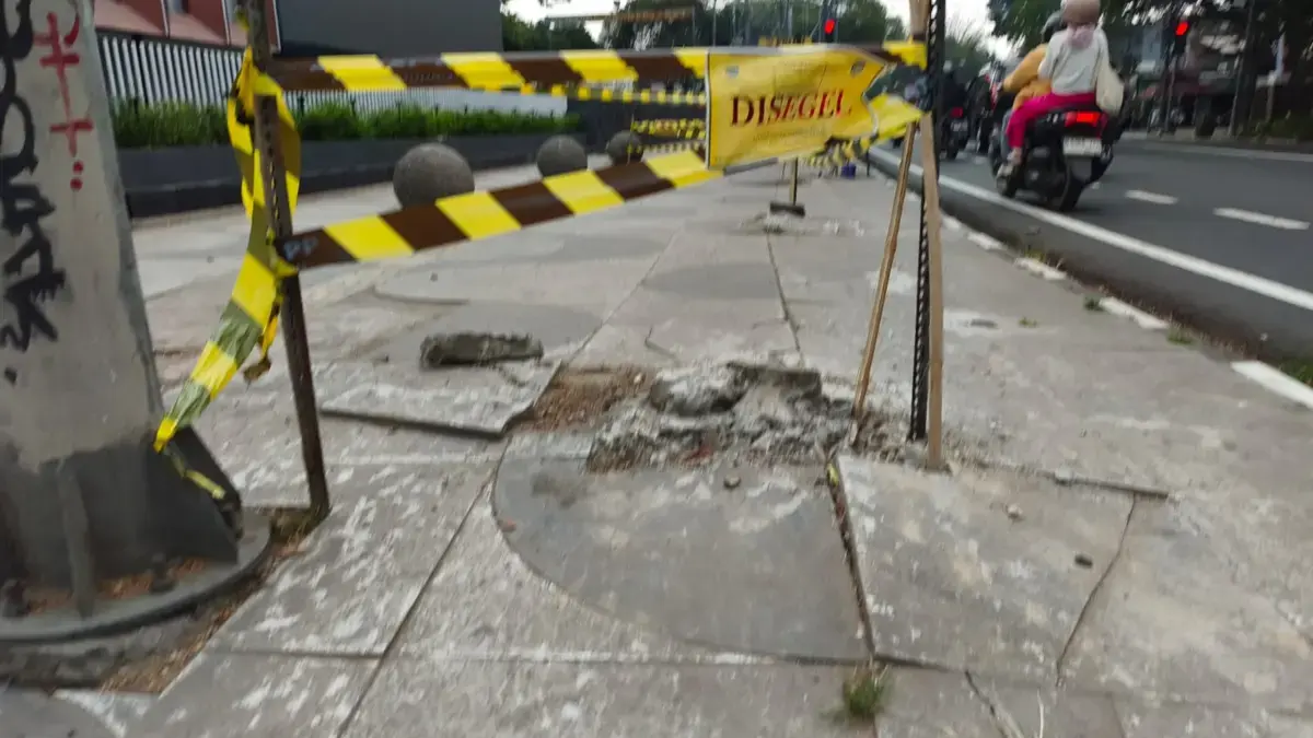 Tak Mungkin Bergerak Sendiri, Pengamat Minta Peran ASN dalam Penebangan Pohon Jalan Riau Diusut Tak Mungkin Bergerak Sendiri, Pengamat Minta Peran ASN dalam Penebangan Pohon Jalan Riau Diusut