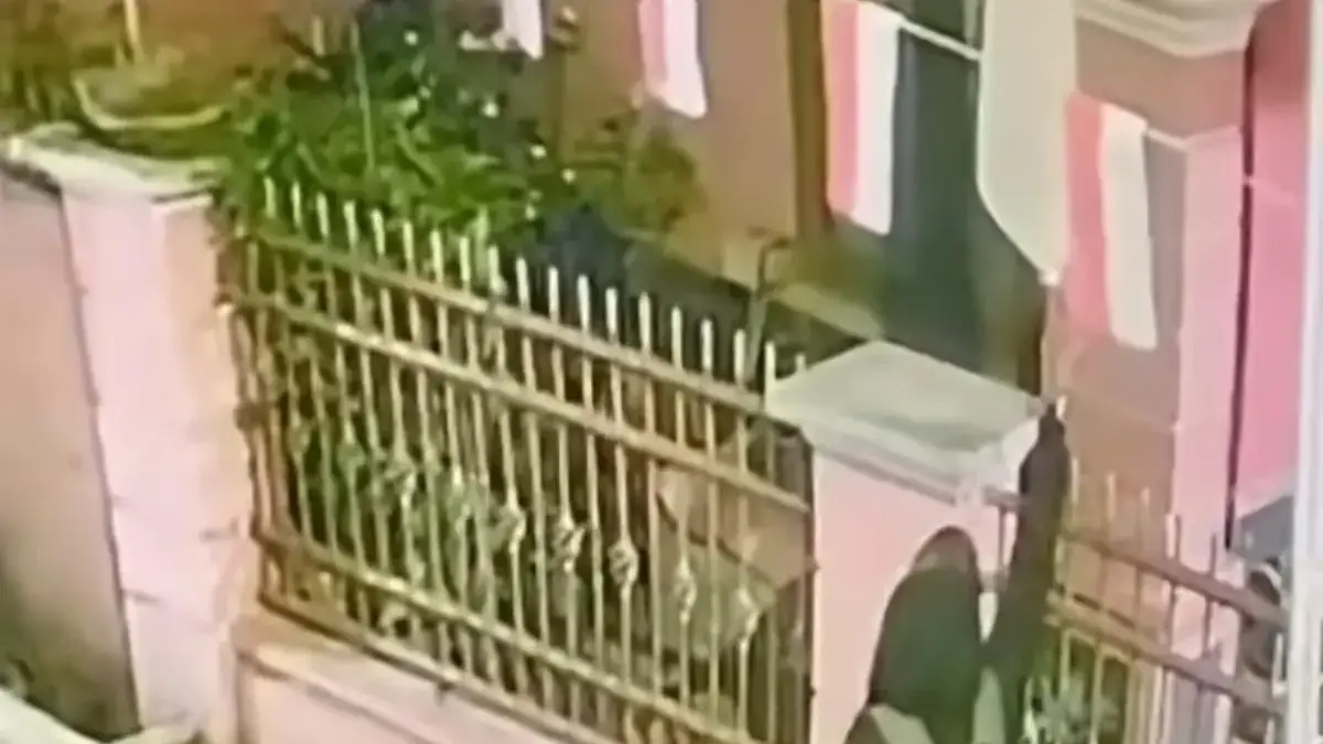 Viral Pembakaran Bendera Merah Putih di Bandung, Polisi Buru Pelaku dan Selidiki Motifnya Ist. Tangkap layar viral di medsos adanya seseorang yang nekat melakukan aksi pembakaran terhadap bendera mera