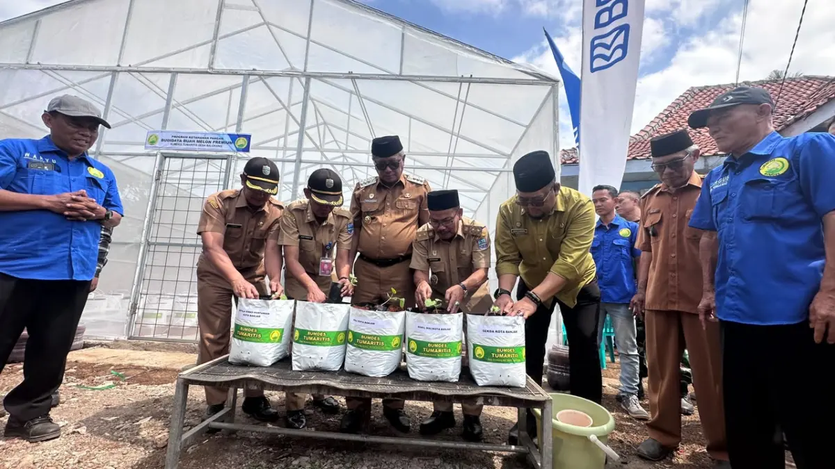 BUMDes Tumaritis Balokang Resmikan Budidaya Melon dan Belut BUMDes Tumaritis Balokang Resmikan Budidaya Melon dan Belut