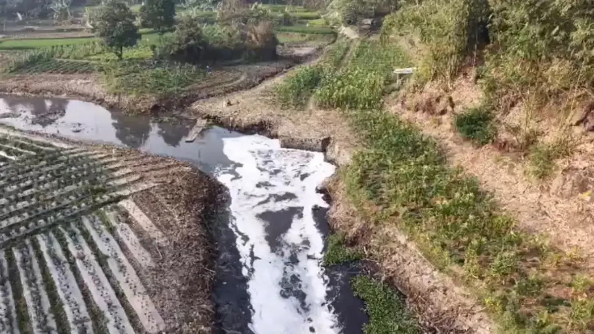 DLH Bandung Barat Identifikasi Perusahaan yang Diduga Cemari Sungai Cihaur Pantauan udara memperlihatkan busa keluar mencemari Sungai Cihaur Kecamatan Padalarang, Bandung Barat. Dok Jab