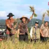 Mesin panen bergerak menyusuri hamparan sawah di Desa Gentan, Kecamatan Bendosari, Kabupaten Sukoharjo