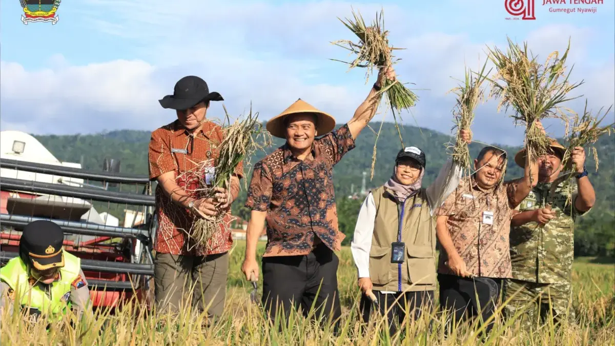 Mesin panen bergerak menyusuri hamparan sawah di Desa Gentan, Kecamatan Bendosari, Kabupaten Sukoharjo