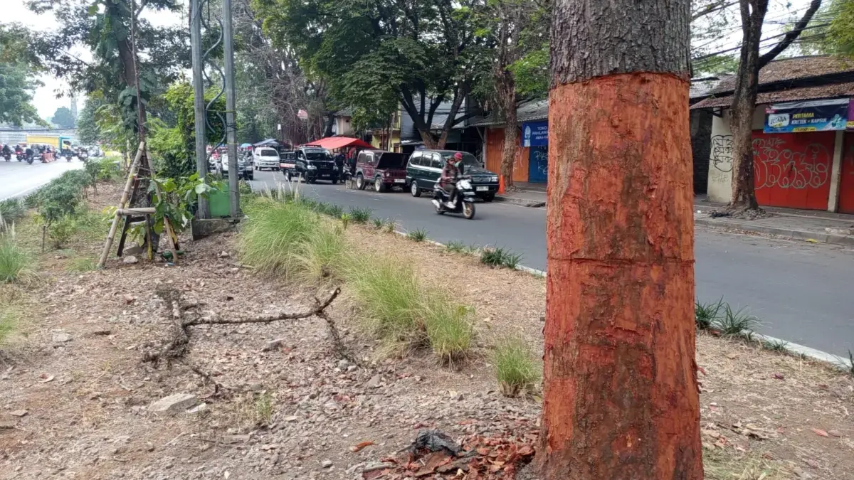 Ini Identifikasi Terduga Pelaku Pengulit Pohon di Jalan Pahlawan Bandung! Ini Identifikasi Terduga Pelaku Pengulit Pohon Jalan Pahlawan Bandung!