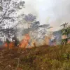 Kebakaran Marak di Musim Kemarau, BPBD Tasikmalaya Ingatkan Warga Tingkatkan Kewaspadaan