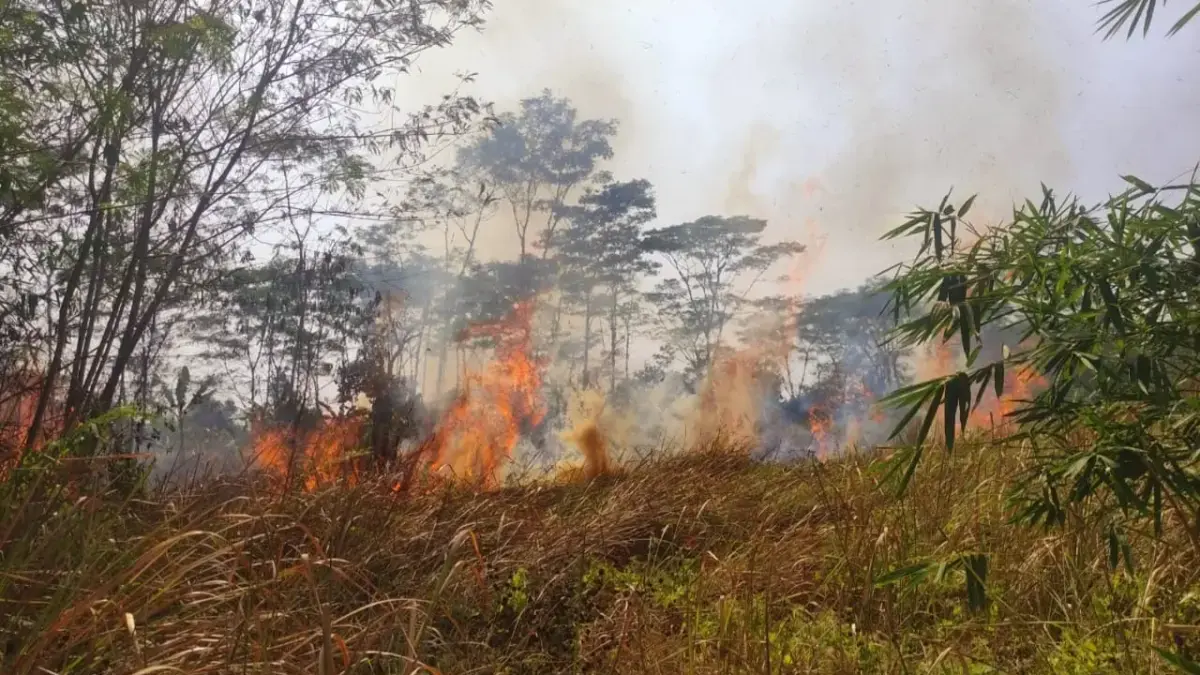 Kebakaran Marak di Musim Kemarau, BPBD Tasikmalaya Ingatkan Warga Tingkatkan Kewaspadaan Kebakaran Marak di Musim Kemarau, BPBD Tasikmalaya Ingatkan Warga Tingkatkan Kewaspadaan
