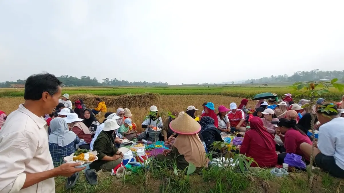Ribuan Warga Cijulang Gelar Tradisi Botram di Tengah Sawah, Wujud Sukur Ketahanan Pangan Ribuan Warga Cijulang Gelar Tradisi Botram di Tengah Sawah, Wujud Sukur Ketahanan Pangan
