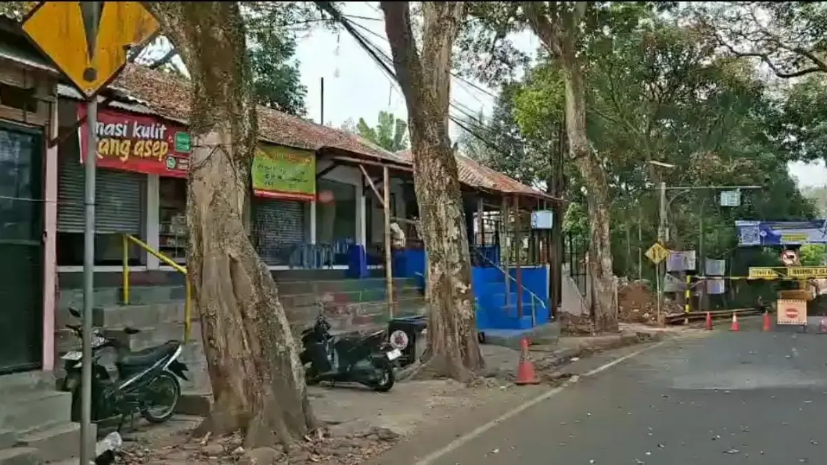Soroti Penebangan Pohon Imbas Proyek Drainase, DLH Cimahi Hitung Dampak Lingkungan