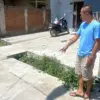 5 Anak Dikejar Pitbull dan 1 Digigit, Warga Siapkan Langkah Antisipasi Pascakejadian