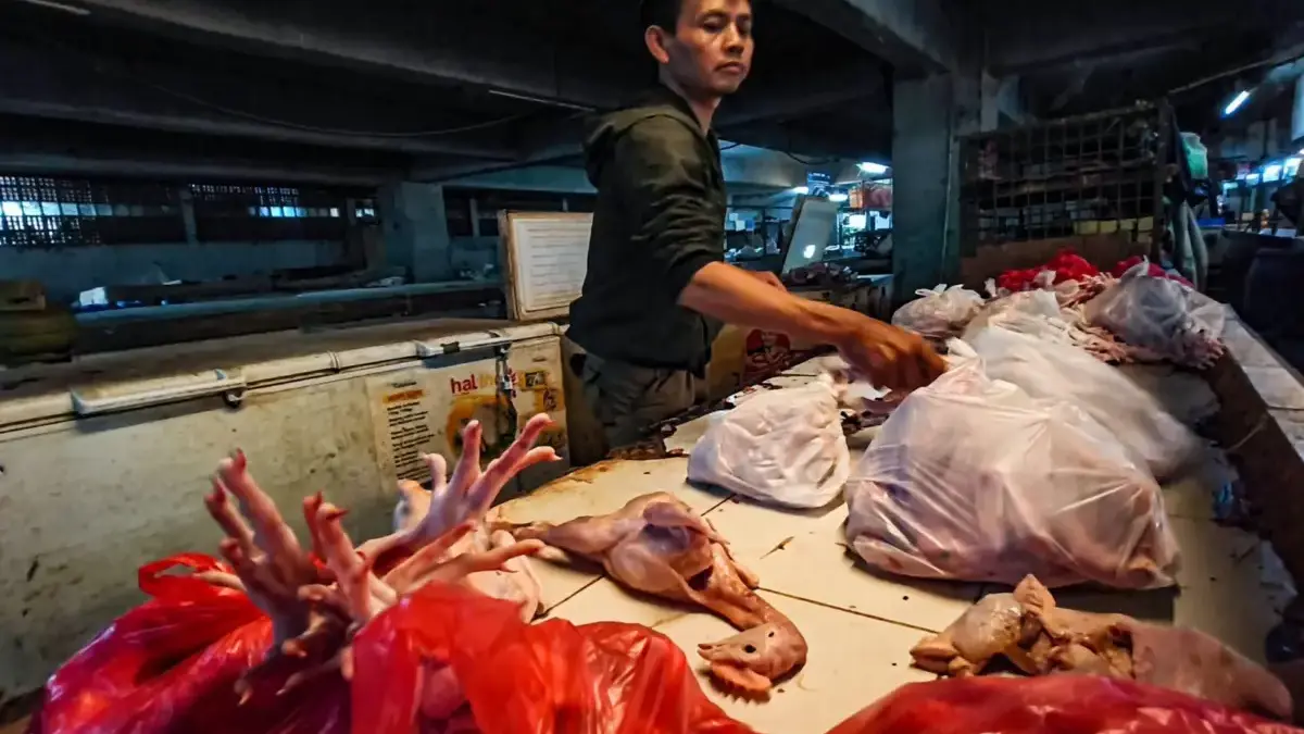 Harga Ayam Negeri di Bandung Terus Naik, Pedagang dan Pembeli Mulai Mengeluh Pedagang mengemas daging ayam ras pesanan pembeli di Pasar Kosambi, Kota Bandung, Selasa (26/8/2026)