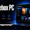 Moviebox PC: Analisis Fitur dan Penggunaan