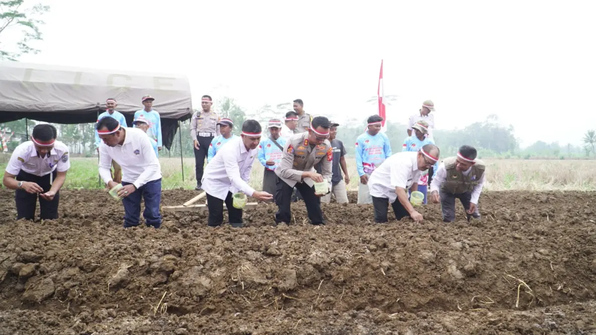 Polres Banjar Tanam 200 Kg Bibit Bawang Putih di Lahan Pataruman untuk Dukung Swasembada Pangan Nasional