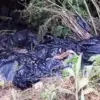 Tangkapan layar video viral diduga sampah sisa MBG dibuang di Bukit Unggul perbatasan Kabupaten Bandung Barat