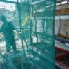 Petugas membuka kandang BSF yang berisi lalat di kandang maggot di kawasan Tamansari, Kota Bandung, Kamis (20/
