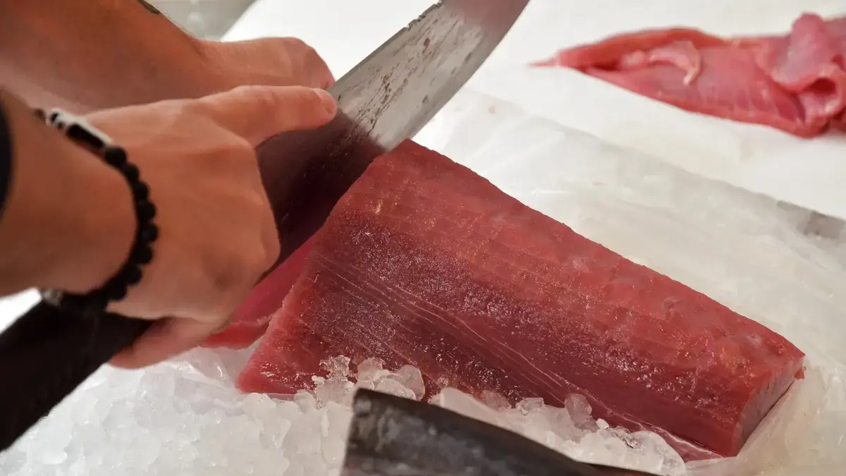 Tarif Nol Persen ke Jepang Jadi Peluang Emas, KKP Fokus Perkuat Kualitas Tuna dari Hulu Tarif Nol Persen ke Jepang Jadi Peluang Emas, KKP Fokus Perkuat Kualitas Tuna dari Hulu