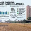 Lahan sawah di samping Jalan Soekarno Hatta Kota Bandung dikepung gedung dan jembatan layang. (Grafis diolah A
