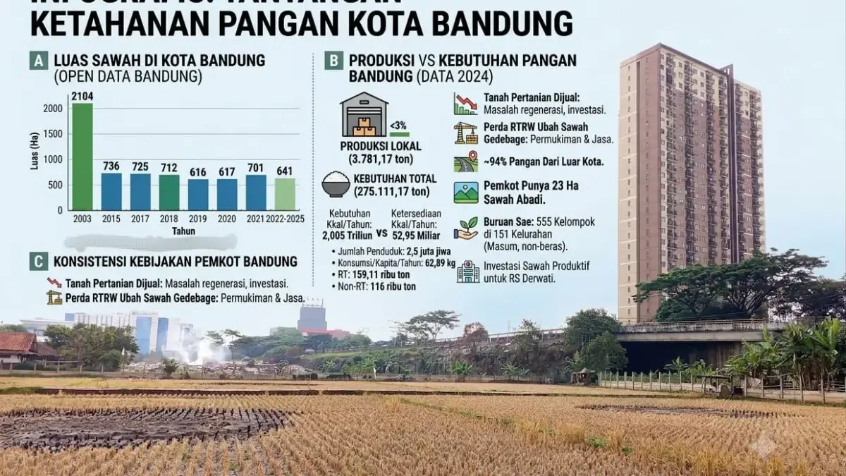 Lahan sawah di samping Jalan Soekarno Hatta Kota Bandung dikepung gedung dan jembatan layang. (Grafis diolah A
