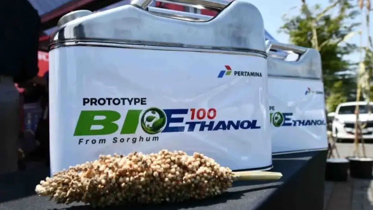 Siapkan 2 Juta Hektare untuk Bioetanol, Amran: Perkuat Kemandirian Energi