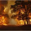 Lahan 1.000 Meter Persegi Terbakar di Leuwigajah, Damkar Cimahi Jinakkan Api dan Berhasil Selamatkan 15 Rumah