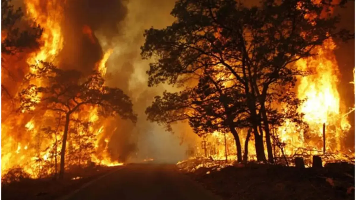 Lahan 1.000 Meter Persegi Terbakar di Leuwigajah, Damkar Cimahi Jinakkan Api dan Berhasil Selamatkan 15 Rumah