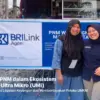 BRILink Agen