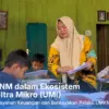 Ultra mikro