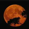 Bakal Ada 9 Fenomena Langit Sepanjang September 2026, Berikut Daftarnya