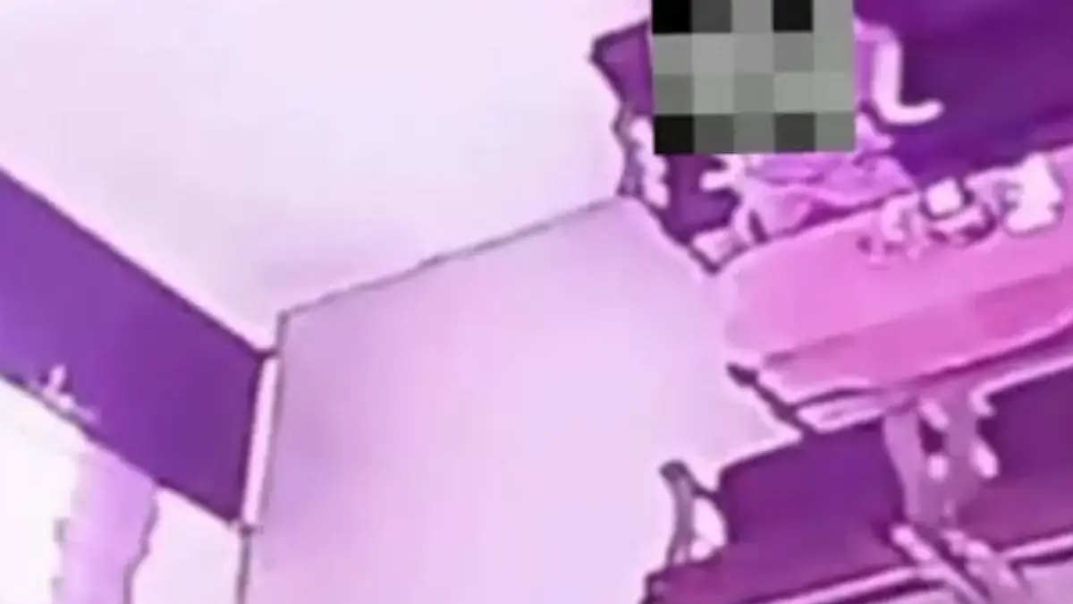 Viral Kepsek dan Guru SD Terekam CCTV Lakukan Hal Tak Senonoh