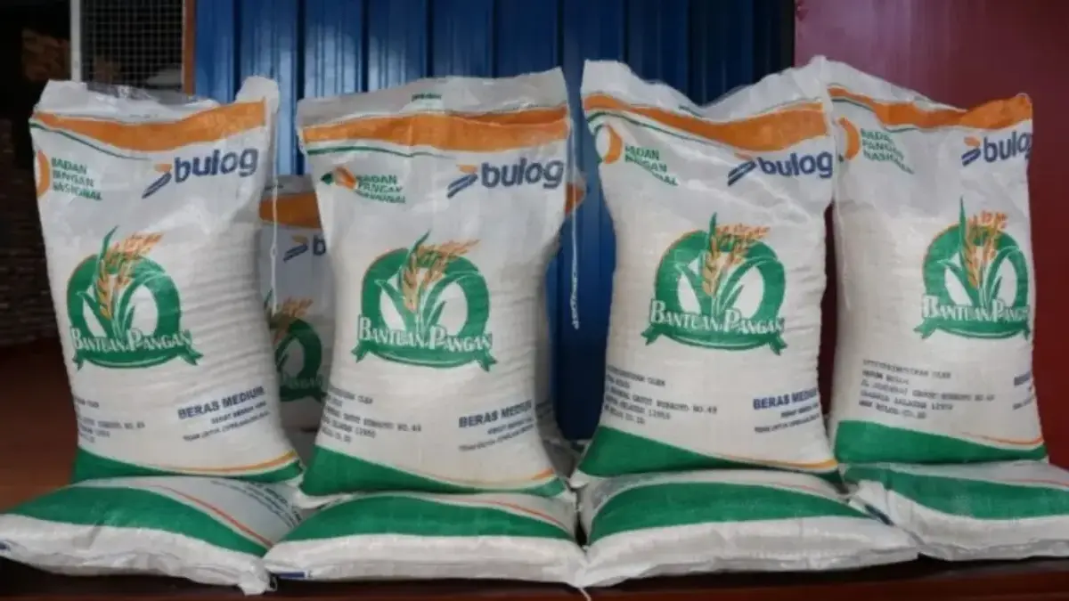 Bansos Beras 30 Kg Tahap 2 Mulai Disalurkan, Cek Penerima dan Cara Mengambilnya Bansos Beras 30kg Tahap 2 Mulai Disalurkan, Cek Penerima dan Cara Mengambilnya