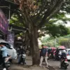 Warga berjalan di samping pohon di Dr, Djunjunan, Kota Bandung. Foto: Dimas Rachmatsyah/ Jabar Ekspres