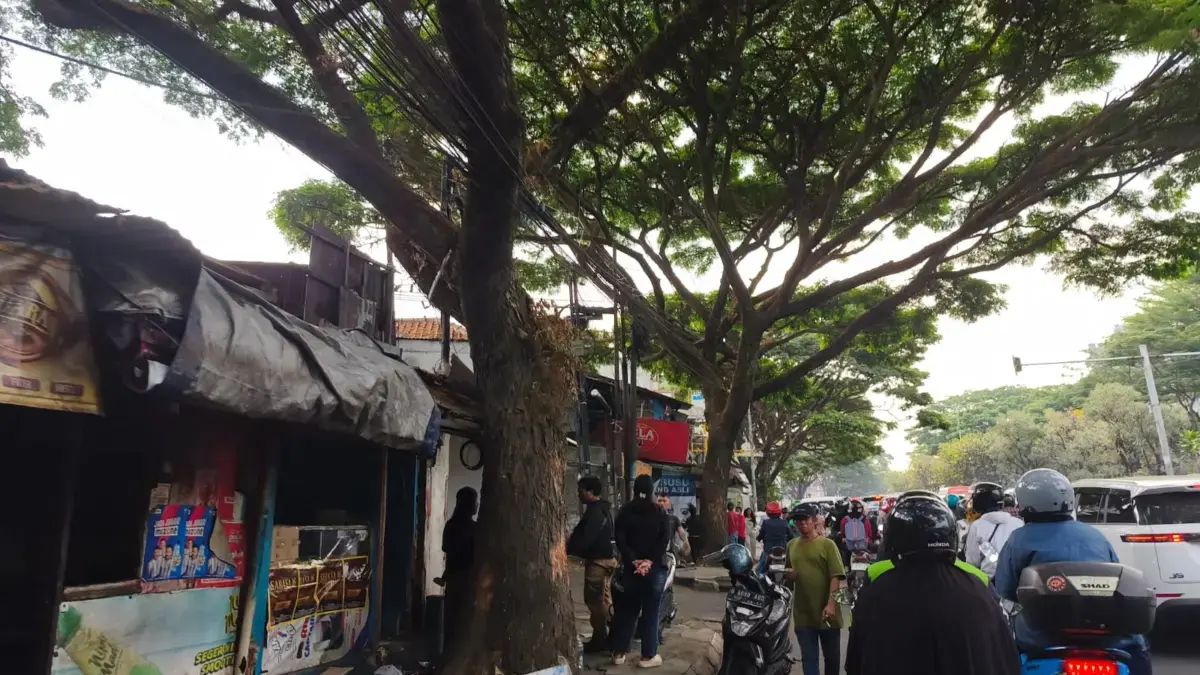 Pengamat: Kerusakan Pohon di Luar Jam Kerja Jangan Jadi Alasan Lemahnya Pengawasan pohon