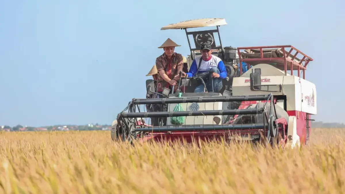 Produksi Padi Jateng Capai 6,69 Juta Ton, Ahmad Luthfi Optimistis Bisa Penuhi Targat Produksi Padi Jateng Capai 6,69 Juta Ton, Ahmad Luthfi Optimistis Bisa Penuhi Targat