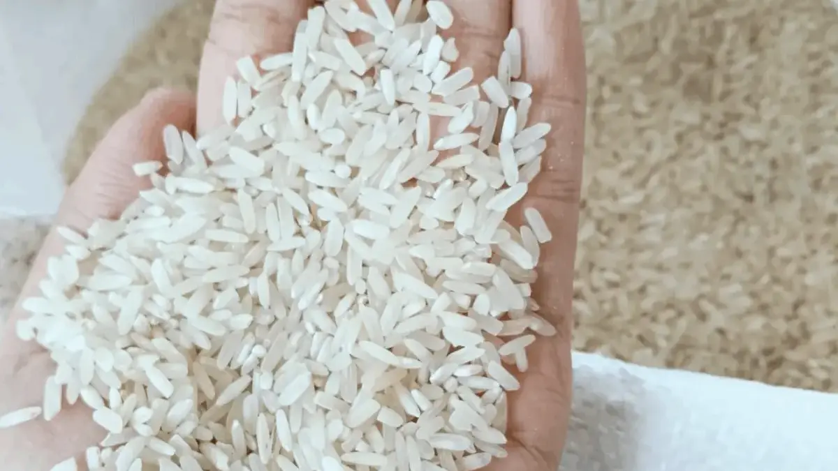Sasar Lebih dari 20 Ribu KPM, Bulog Ciamis Salurkan 603 Ton Beras Sasar Lebih dari 20 Ribu KPM, Bulog Ciamis Salurkan 603 Ton Beras