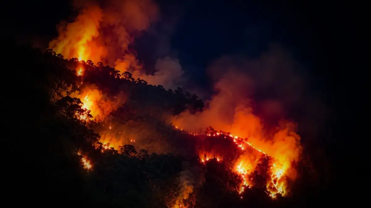 Gunung Cigayung KBB Terbakar, 2.000 Meter Persegi Lahan Dilalap Si Jago merah