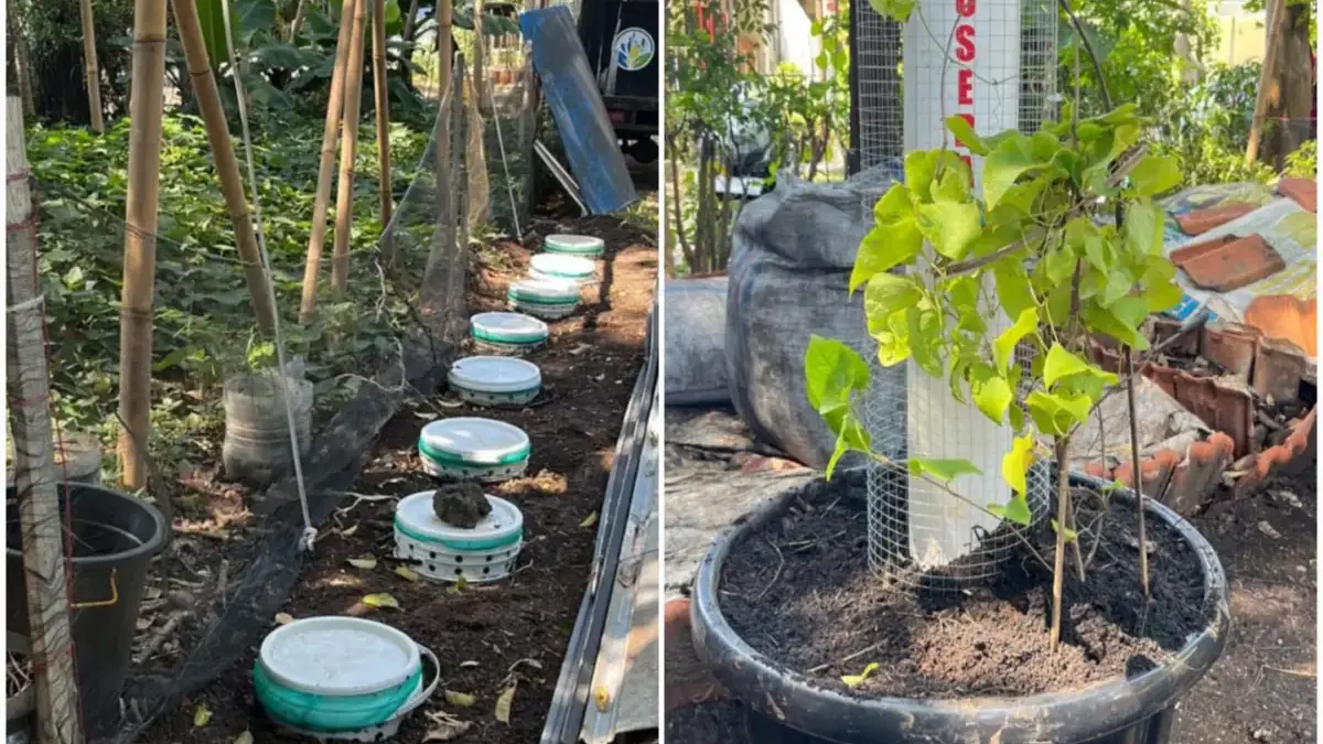 Implementasi Teknologi Tepat Guna ITB Atasi Persoalan Sampah di Bandung