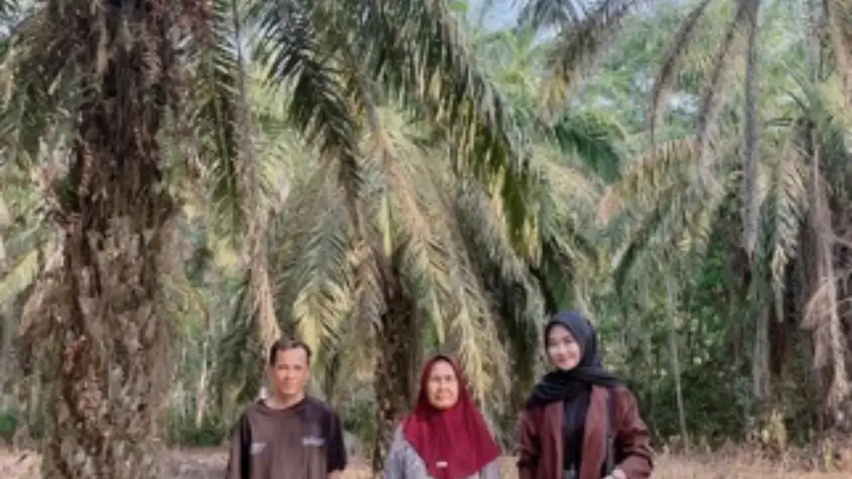 Alifia Naura Nazifah, Mantri BRI Unit Sumber Hidup, BRI Branch Office Kayu Agung