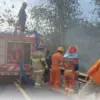Petugas lakukan pemadaman/Foto: Dok BPBD