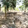 Kolam air di Bukit Mbah Garut yang nampak kering. (son)