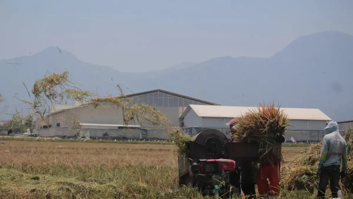 Pemprov Jabar Bakal Tambah Target Cover Asuransi Pekerja Informal Pemprov Jabar Bakal Tambah Target Cover Asuransi Pekerja Informal