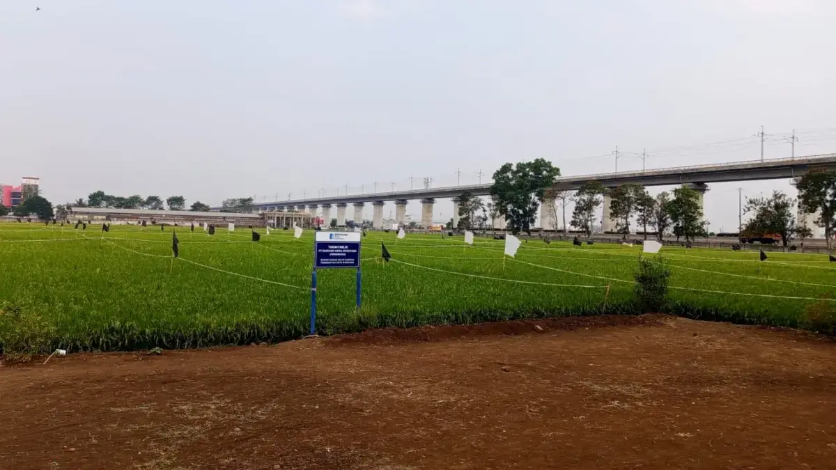 Dewan Ingatkan Pembangunan RS Derwati Perlu Komprehensif dengan Tata Ruang Lokasi rencana pembangunan RS Derwati. (son)