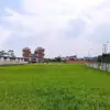 Lahan sawah di Kota Bandung yang makin terjepit bangunan. (Son)
