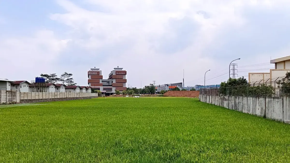 Pengamat Tawarkan Konsep Aglomerasi Lahan sawah di Kota Bandung yang makin terjepit bangunan. (Son)