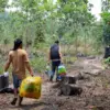 Melalui dialog dan edukasi, Otorita IKN memfasilitasi masyarakat yang secara sukarela memilih untuk kembali ke