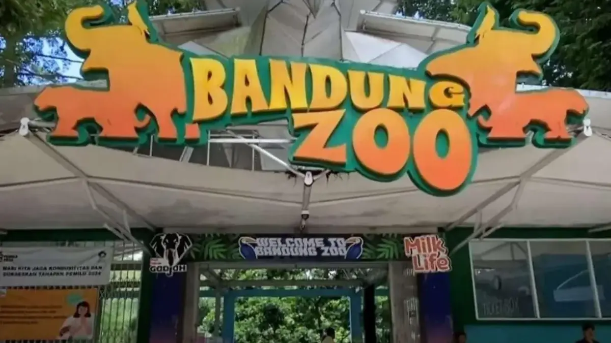 Faunaland Siapkan Tim dan Organisasi Baru untuk Pengelolaan Bandung Zoo Faunaland Siapkan Tim dan Organisasi Baru untuk Pengelolaan Bandung Zoo