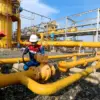 Hari Pelanggan Nasional 2026, Pertagas Perkuat Layanan dan Keandalan Infrastruktur Energi