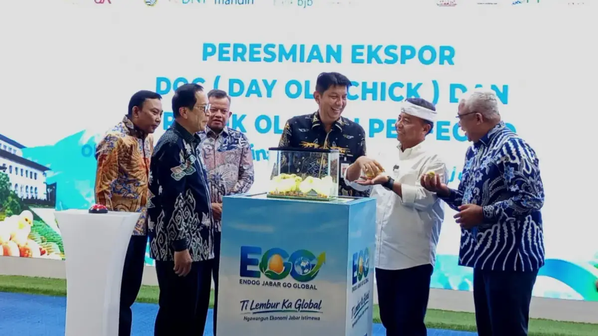 OJK Jabar Dongkrak Ekosistem Ayam Petelur Peresmian ekspor DOC ayam petelur, Jumat (25/9). (son)