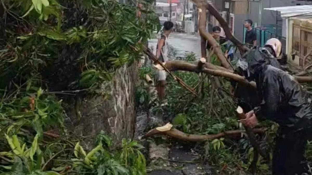 Hujan Disertai Angin Kencang Rusak Sejumlah Rumah di PPI Padalarang Sejumlah rumah di PPI Padalarang Bandung Barat rusak seusai diterjang hujan disertai angin kencang. Senin (26/