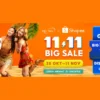 Musik Pop Bertemu Sentuhan Lokal, Kolaborasi no na di Shopee 11.11 Big Sale Bawa Kreativitas Penuh Warna