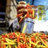 Harga Cabai Picu Kenaikan IPH di 309 Kabupaten/Kota, Sumatera Barat Tertinggi