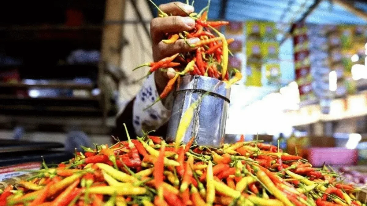 Harga Cabai Picu Kenaikan IPH di 309 Kabupaten/Kota, Sumatera Barat Tertinggi